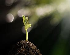 grow apart